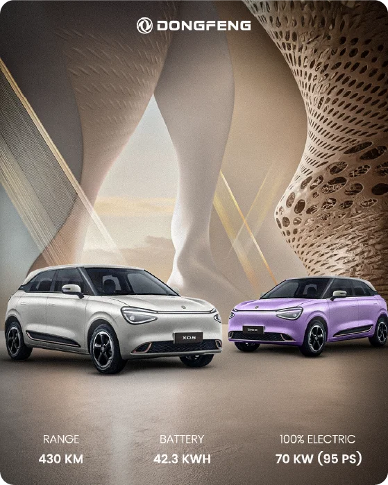 dongfeng-6